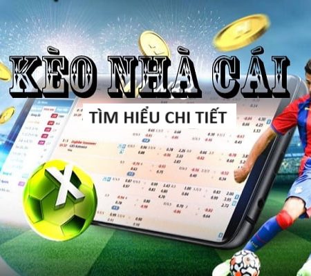 ĐÁ GÀ THOMO 🎖️ TRỰC TIẾP MỚI NHẤT HÔM NAY TẠI C